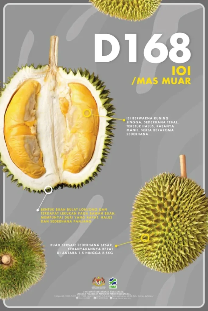 durian ioi