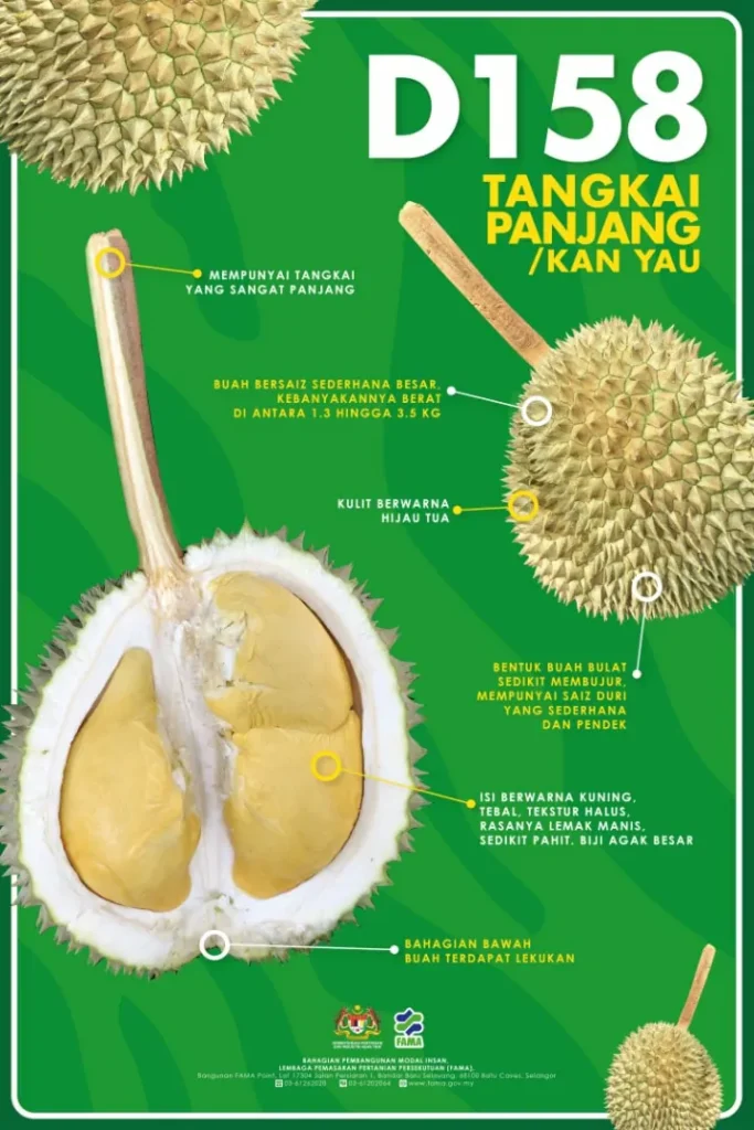tangkai panjang