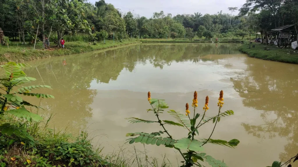 Kolam Pancing Damai Semenyih