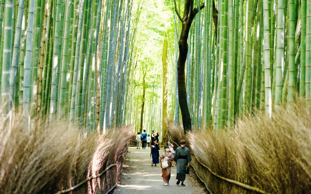 Arashiyama Bamboo Grove