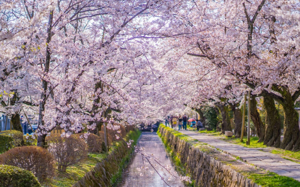 Philosopher’s Path