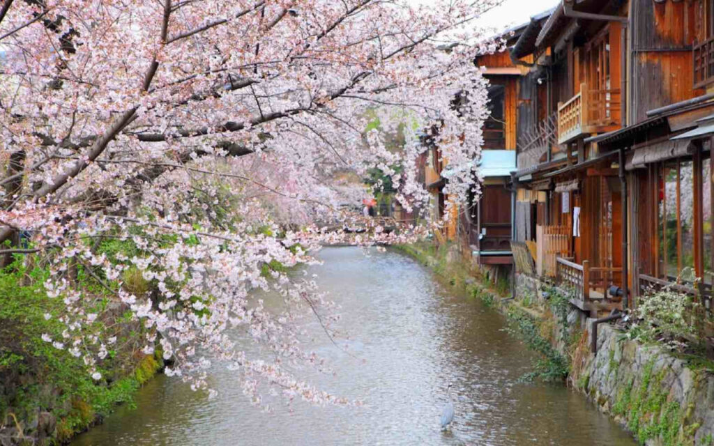 Shirakawa Canal