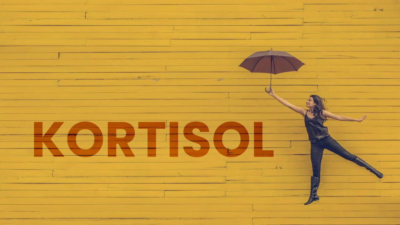 CARA TURUNKAN KORTISOL