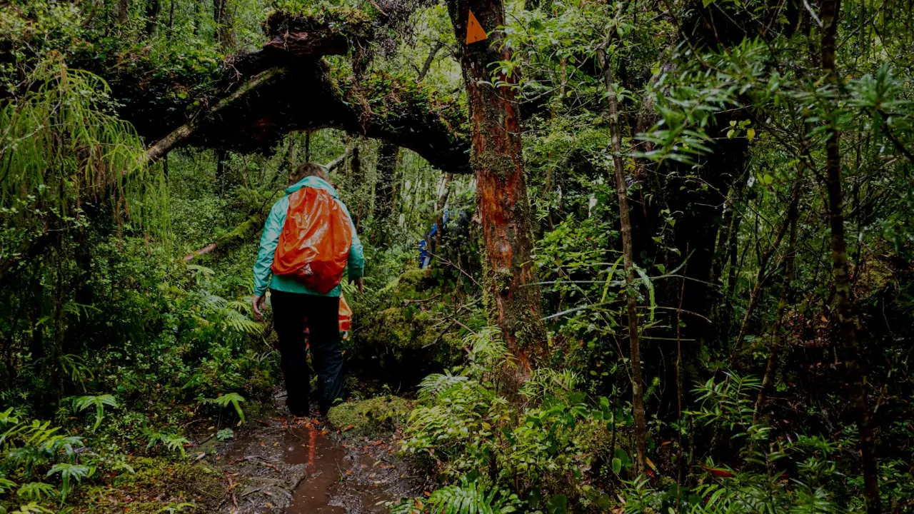 petua orang dulu sebelum masuk hutan