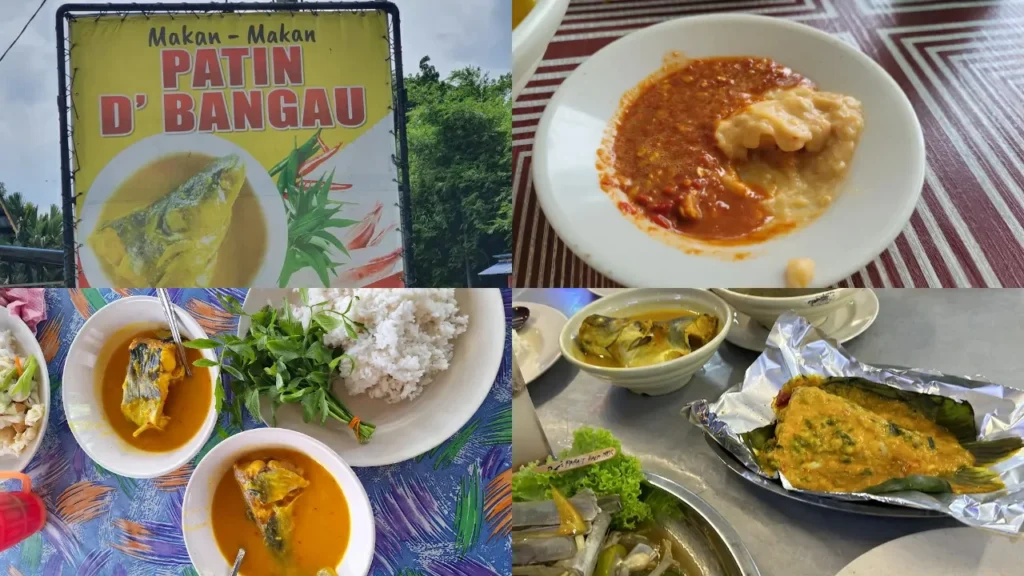 Makan Makan Patin D'Bangau