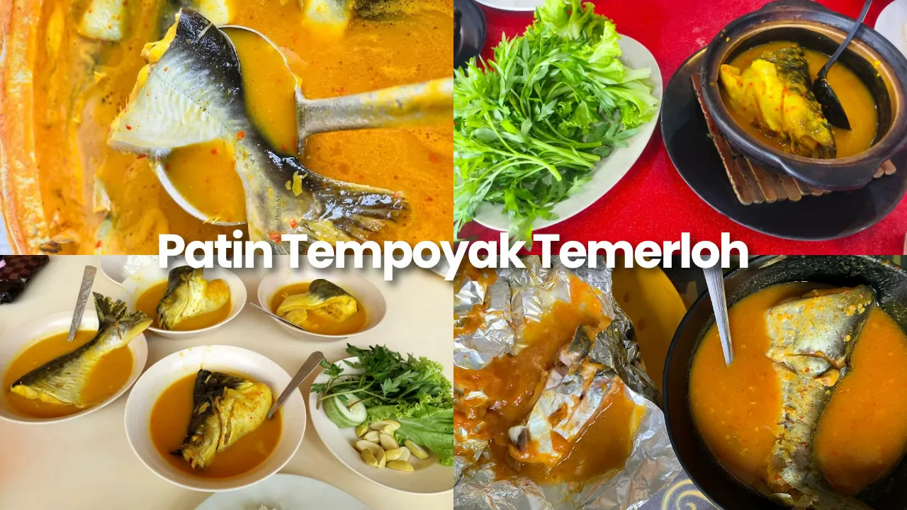 kedai patin temerloh masak tempoyak